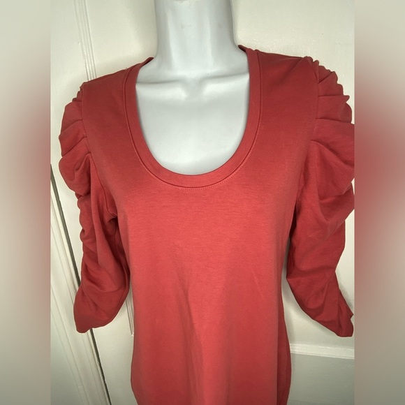 Sundry Anthropology NWT Rust Sheath Dress with Ruched Puff Sleeves - Picture 4 of 8